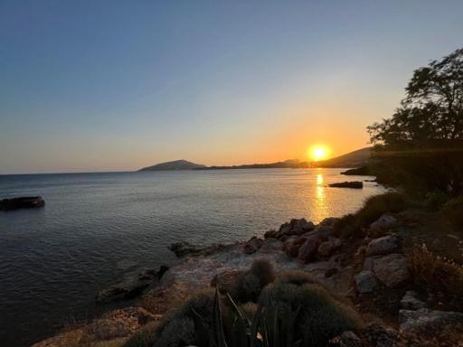 Sounio Studio Sounion Esterno foto